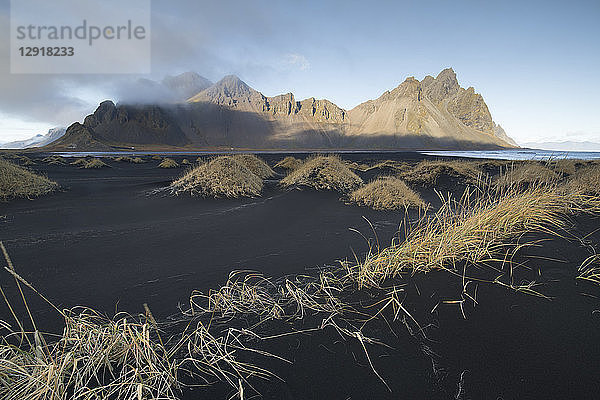 Graswuchs am schwarzen Sandstrand mit dem Berg Vestrahorn im Hintergrund  Island