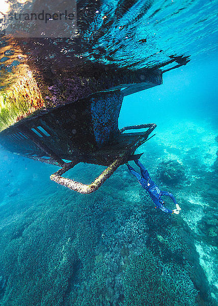Unterwasseransicht eines Tauchers  der kopfüber auf einem gesunkenen Schiffswrack steht  Nusa Penida  Bali  Indonesien