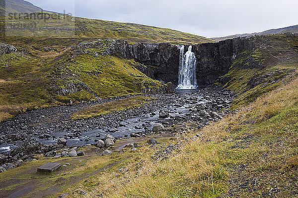 Blick auf den plätschernden Wasserfall Gufufoss und die umliegende Graslandschaft  Island