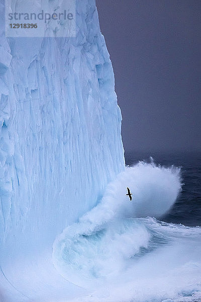 Riesige Wellen prallen in einem Sturm 12 Meilen vor der Küste der Westfjorde in Island gegen einen Eisberg.