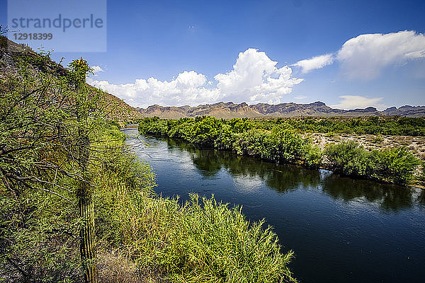 Naturkulisse des Salt River  Phoenix  Arizona  USA