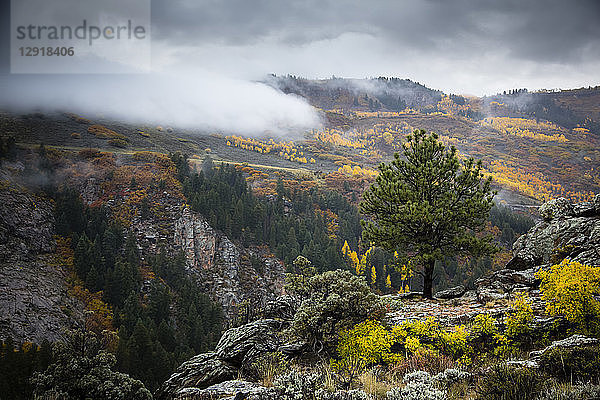 Landschaft mit Nebel im Black Canyon of theÂ GunnisonÂ National Park im Herbst  Â Colorado  USA