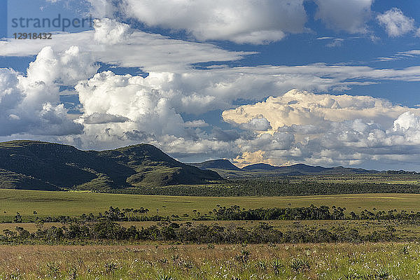 Wunderschöne Cerrado-Landschaft und Vegetation in der Chapada dos Veadeiros  Goias  Brasilien