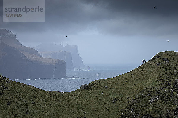 Majestätische Naturkulisse mit Küstenklippen unter dramatischem Himmel  Kalsoy  Färöer Inseln