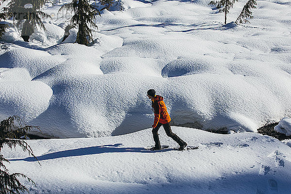 Mann beim Schneeschuhwandern über verschneites Gelände  Whistler  British Columbia  Kanada