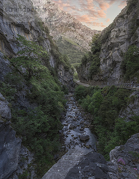 Majestätische Naturlandschaft der Schlucht des Flusses Cares  Picos de Europe  Cain  Provinz Leon  Spanien