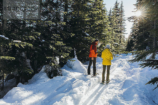Die Sonne scheint über einem Paar  das mit Schneeschuhen im verschneiten Wald unterwegs ist  Whistler  British Columbia  Kanada