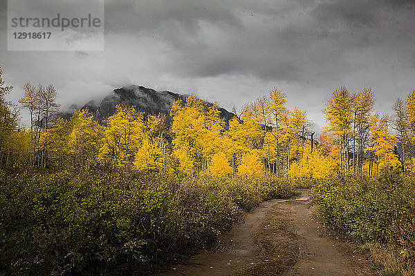 Szenen eines nebligen Herbsttages am Kebler Pass mit dem Marcellina Mountain und tief hängenden Wolken auf einer zweispurigen Straße mit goldenen Espen  Colorado  USA