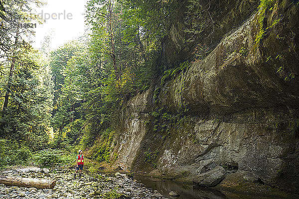 Entfernte Ansicht eines einzelnen männlichen Geotechnikers  der eine erodierende Felswand inspiziert  Maple Ridge  British Columbia  Kanada