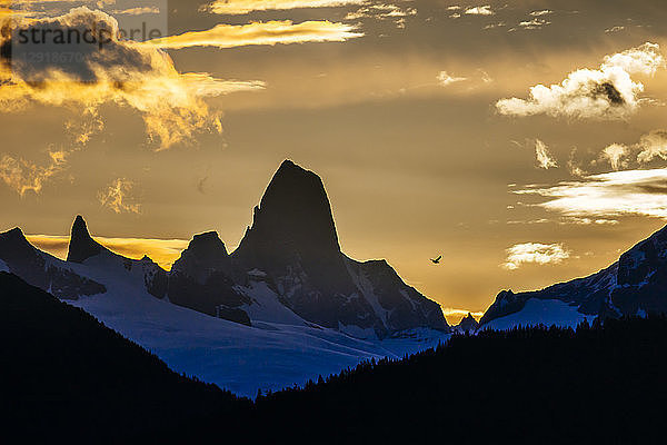 Majestätische Landschaft mit Blick auf den Berggipfel Devils Thumb bei Sonnenuntergang  Petersburg  Alaska  USA