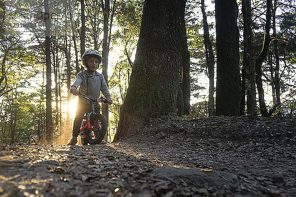 Frontansicht eines Kleinkindes beim Fahrradfahren im Wald  El Chico National Park  Hidalgo  Mexiko