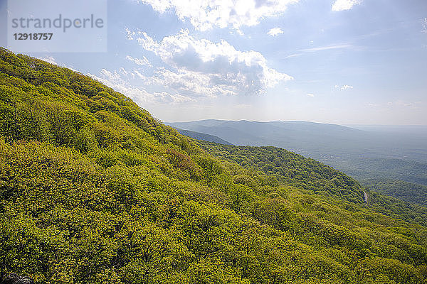 Landschaftlicher Blick auf Wolken über grünem Wald in den Appalachen  Virginia  USA