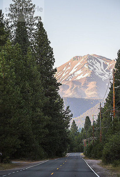 Landschaft mit Straße im Wald und Berggipfel im Hintergrund  Shasta  Â Kalifornien  USA