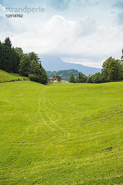Landschaft mit saftigen Weiden auf einem Bauernhof am Burgenstock  Burgenstock  Luzern  Schweiz
