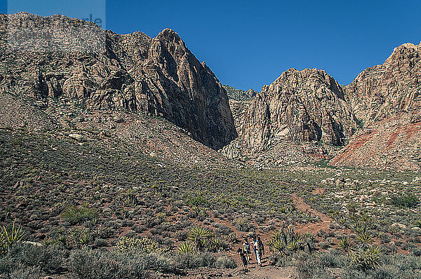 Fernsicht auf eine Gruppe von Menschen  die in Richtung Schlucht in der Red Rock Canyon National Conservation Area  Nevada  USA  laufen