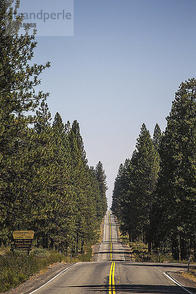 Blick auf eine Straße  die durch einen Wald führt  Shasta  Kalifornien  USA