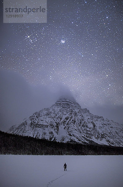 Sterne am Nachthimmel über dem Waterfowl Lake im Winter  Banff National Park  Alberta  Kanada