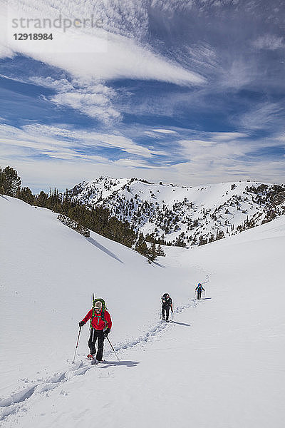Gruppe von drei Bergsteigern auf dem Weg zum Donaldson Peak in der Lost River Mountain Range  Idaho  USA