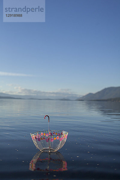 Regenschirm mit Blumenmuster schwimmt auf einem ruhigen Lake Pend Oreille  Sandpoint  Idaho  USA