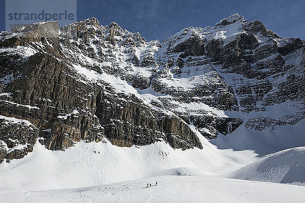 Majestätische Naturkulisse mit schneebedeckten Bergen auf dem Opabin Plateau im Winter  Yoho National Park  Alberta  Kanada