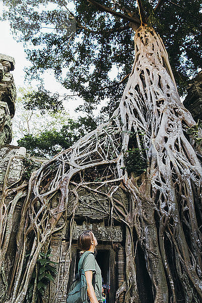 Taillenaufnahme einer Frau mit Blick auf Tempelruinen  Siem Reap  Kambodscha
