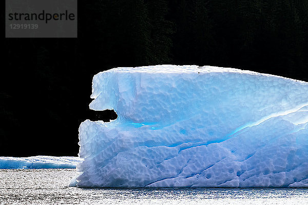 Ein blauer Eisberg kalbte von einem Gletscher in der Le Conte Bay  Südost-Alaska  USA