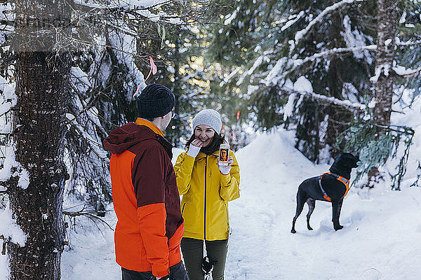 Paar mit Hund im Wald im Winter  Frau zeigt Smartphone  Whistler  British Columbia  Kanada