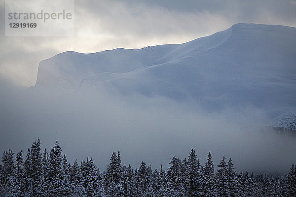 Schöne Winterlandschaft mit Wald und Berg  Mount Assiniboine  British Columbia  Kanada