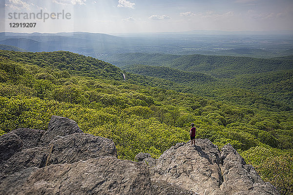 Männlicher Wanderer steht am Rande des Humpback Rock mit Sonnenlicht  das den grünen Wald im Hintergrund beleuchtet  Virginia  USA