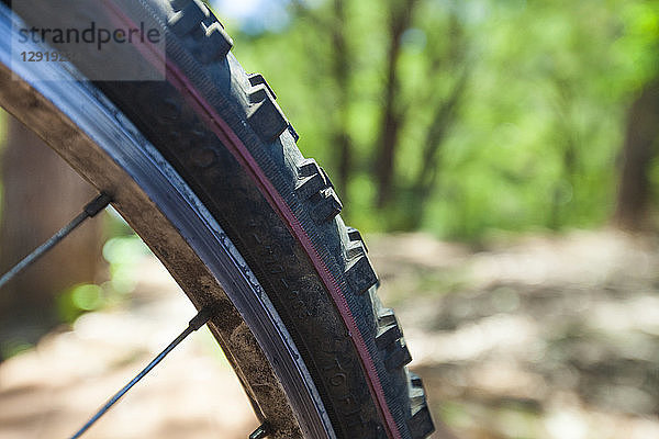 Nahaufnahme eines Mountainbike-Reifens  The Pines Trails  Margaret River  Westaustralien  Australien