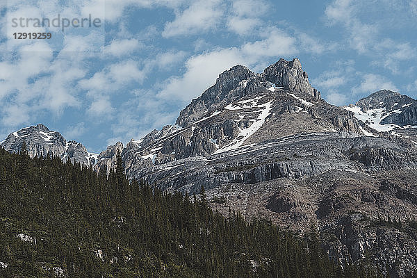 Majestätischer Blick auf Berggipfel und Wald  Kanadische Rocky Mountains  Plain of Six Glaciers  Alberta  Kanada