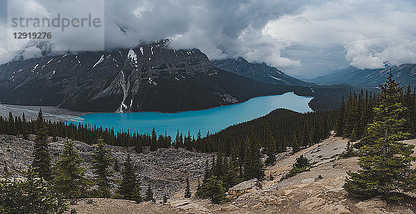 Landschaft mit dem Peyto-See und den Bergen der kanadischen Rockies  Banff-Nationalpark  Alberta  Kanada