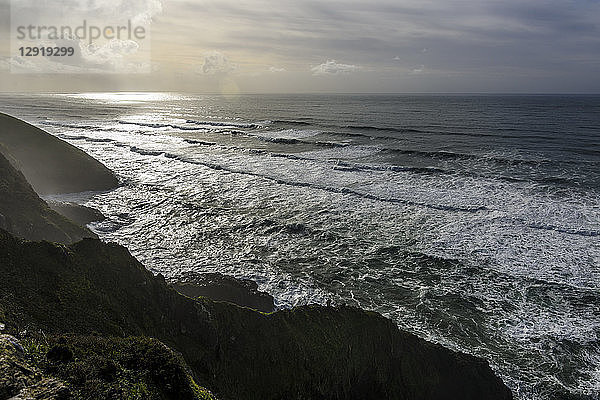 Meereslandschaft mit Klippen und Wellen  Coastal Highway  Oregon  USA