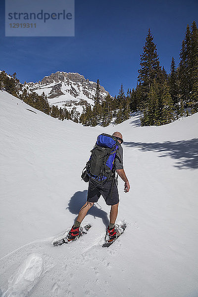 Bergsteiger auf dem Weg zum Donaldson Peak in der Lost River Mountain Range  Idaho  USA