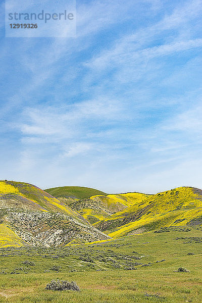 Landschaft des CarrizoÂ Plain National Monument  Kalifornien  USA