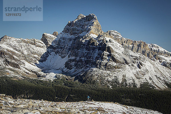 Majestätische Bergkulisse in den kanadischen Rockies  Lake O'Hara  Yoho National Park  Alberta  Kanada