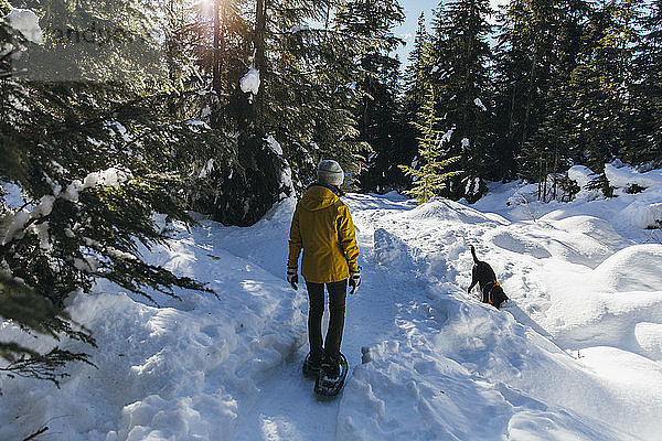 Junge Frau beim Schneeschuhwandern im Wald mit Hund  Whistler  British Columbia  Kanada