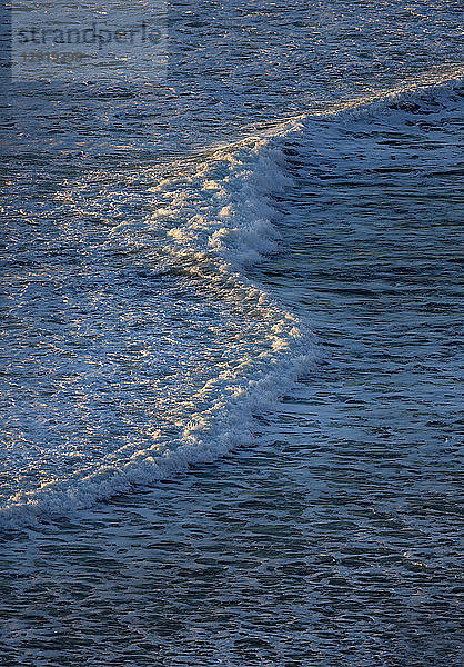 Blick auf eine Welle im Meer  Blacks Beach  La Jolla in San Diego  Kalifornien  USA