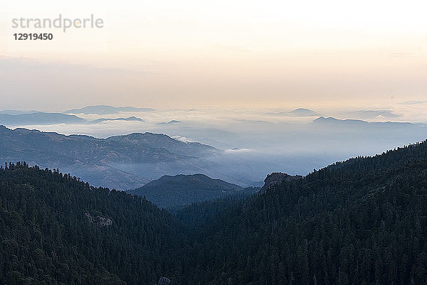 Landschaft mit Bergen und Wald bei Sonnenaufgang im Nationalpark El Chico  Hidalgo  Mexiko