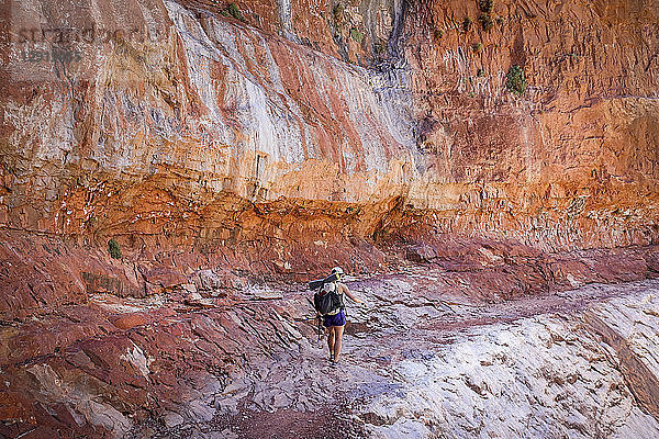 Junge Wanderin  die alleine die massiven Sandsteinfelsen des Grand Canyons North Rim  Grand Canyon  Arizona  USA durchquert