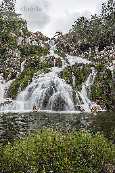 Schöne Naturlandschaft mit Wasserfall und Cerrado-Vegetation in Chapada dos Veadeiros  Goias  Brasilien