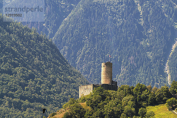Landschaft mit Schloss La Batiaz  Berg und Wald  Martigny  Wallis  Schweiz