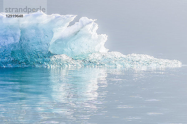 Foto von Eis im Endicott Arm Fjord  Alaska  USA