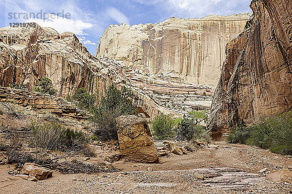 MajestÃ?tische Canyon-Landschaft mit Sandstein-Felsformationen  Â GrandÂ Staircase-EscalanteÂ National Monument  Utah  USA