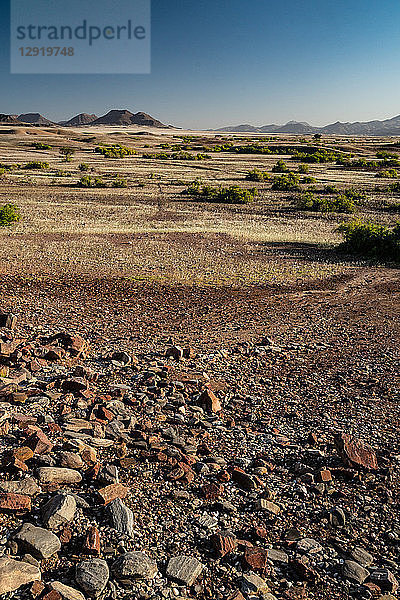 Für das nördliche Namibia typische Berglandschaft  Puros  nördlich von Sesfontein  Namibia