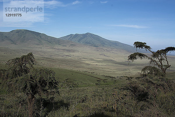 Ngorongoro-Krater  UNESCO-Weltkulturerbe  Ngorongoro-Schutzgebiet  Serengeti  Tansania  Ostafrika  Afrika