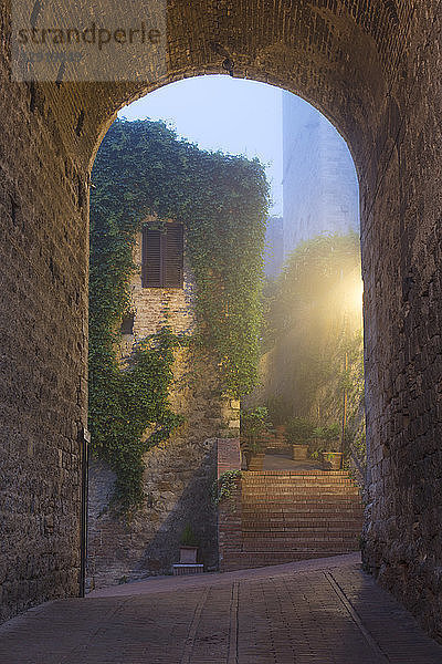 Ein nebliger Blick in der Morgendämmerung auf eine Straße in San Gimignano  UNESCO-Weltkulturerbe  Toskana  Italien