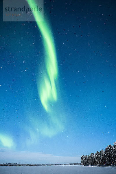 Aurora Borealis (Nordlicht)  Pallas-Yllastunturi-Nationalpark  Lappland  Finnland  Europa