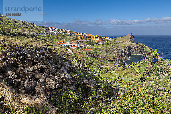 Felsenküste an der Südostküste  Funchal  Madeira  Portugal  Atlantik