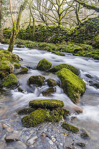 Fluss in den Ausläufern des Cnicht  Croesor Valley  Snowdonia National Park  Gwynedd  Nordwales  Wales  Vereinigtes Königreich  Europa